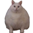 chonk_XP Discord emoji