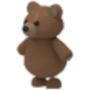 brown_bear
