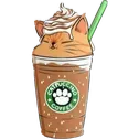 catuchino