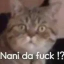 nani