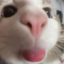 Blep Discord emoji