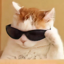 Cool_Cat