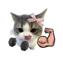 gym_boyh
