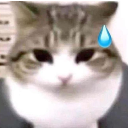 cute_car Discord Emoji - $LICKSHANG
