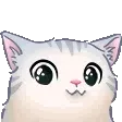 aww