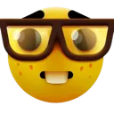 Nerd