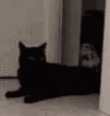 CattoStealDrag animated emote from 📚 𝗧𝗛𝗘 𝗔𝗥𝗖𝗛𝗜𝗩𝗘𝗦 𝗢𝗙 𝗛𝗢𝗟𝗠𝗘
