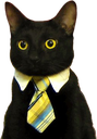 :CattoLawyerBusiness: