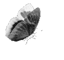 emoji_10 animated emote from The Last X