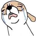 ugg_sob