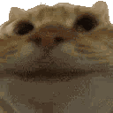 yes