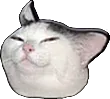 CatSmug