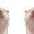 catkissing