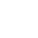 partner Discord emoji