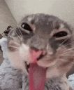 hehehe animated GIF emoji - Cloudy Gaming UK ☁🎮