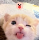 emoji_9 Discord Emoji | 𝗔𝗯𝗼𝗦𝗮𝗹𝗲𝗵 𝗛𝗗