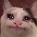 Beluga_crying Discord emoji