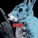 Bon_Shush