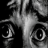 Terrified