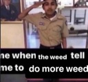 MOREWEED