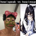 howispeak custom emote | /veiled