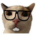 A cat wearing large black glasses and buck teeth looking directly at the camera.