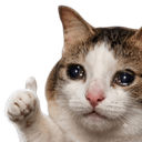 273026catcried custom emote | NC HANGOUT 18+