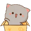 6_nyaawave