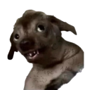 xdoghuh2 Discord emoji
