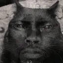blackCat
