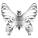 skeletonbutterfly Discord emoji