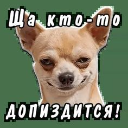 fuck Discord sticker from Dodik"s