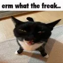 emoji_4