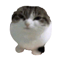 sealkitty Discord sticker | /sleepy