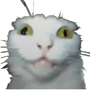blah Discord Emoji - /sleepy