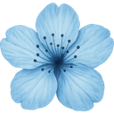 :blue: