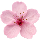 pink Discord Emoji from Songbird's Atelier