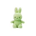 teddy