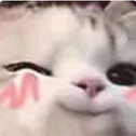 1424441831357288648 Discord Emoji - OAZĖ