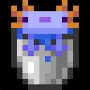 Axolotl sits inside a gray metal bucket with a neutral expression.