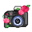 A black digital camera decorated with pink and red roses in a pixel art style.