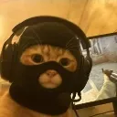 CODcat