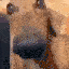 mitrahuh Discord emoji