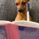 yapyapyap