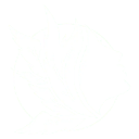 Overture_Squad custom emote from 𝘼𝙚𝙩𝙝𝙚𝙧 𝙂𝙖𝙯𝙚𝙧 𝙁𝙖𝙣 𝙎𝙚𝙧𝙫𝙚𝙧