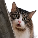 pineapplesaywhat Discord Emoji from 𝒕𝒉𝒆  • 𝚍𝚎𝚎𝚙 𝚎𝚗𝚍