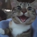 emoji_84 custom emote | ˚₊‧꒰ა 𝓣𝓱𝓮 𝓐𝓷𝓰𝓮𝓵𝓼 𝓸𝓯 𝓟𝓪𝓻𝓪𝓭𝓲𝓼𝓮 ໒꒱ ‧₊˚