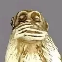 saynoevil
