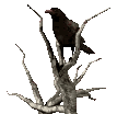 qua animated Discord emote | ﾉr𝖾𝗏𝖾𝗋𝗌𝖺𝗅 𝗋𝗍𝟧𝟢𝟢 🎃