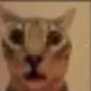 em